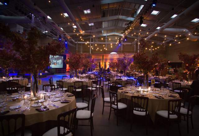 Stunning Galas