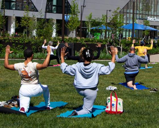 Yoga on Elm Street Plaza Lawn (Vertical)