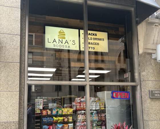 Lana's Bodaga