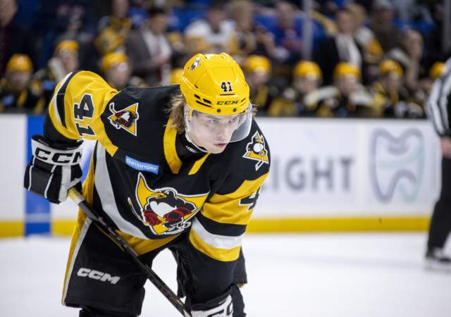 WBS Penguins