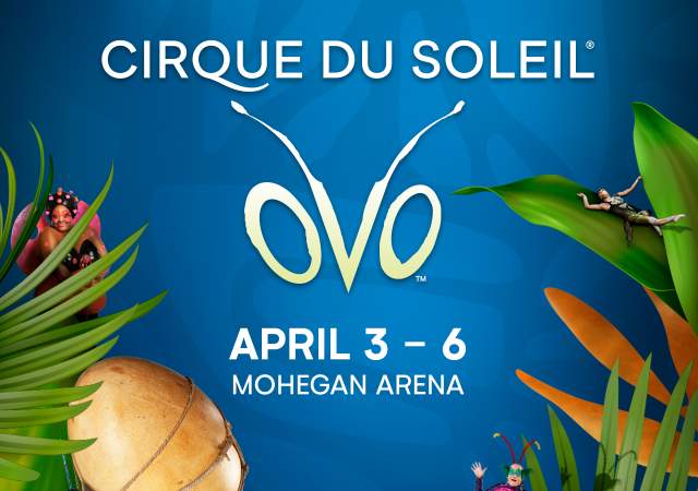 Cirque