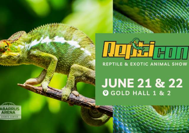 Repticon Charlotte