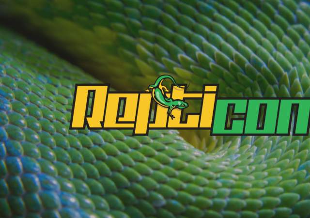 Repticon Charlotte
