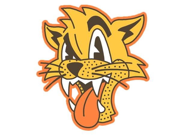Carolina Disco Turkeys Vs Uwharrie Wampus Cats