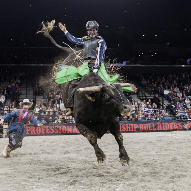 Professional Championship Bull Riders