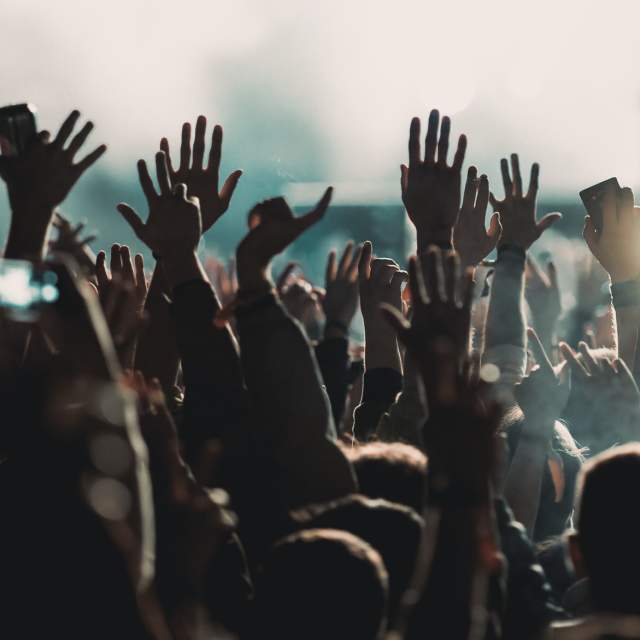 crowd hands