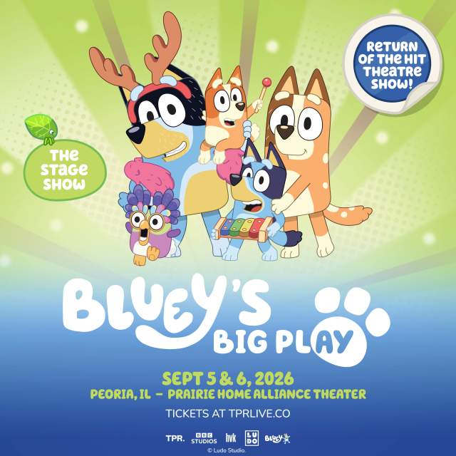 Bluey's Big Play