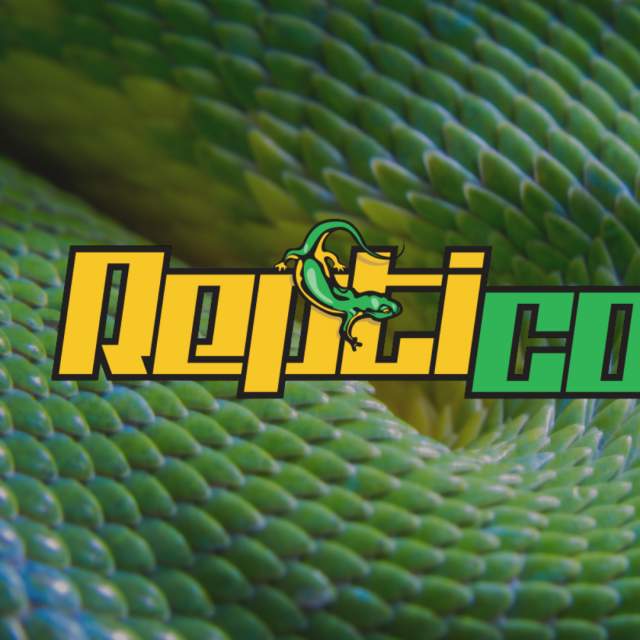 Repticon Charlotte