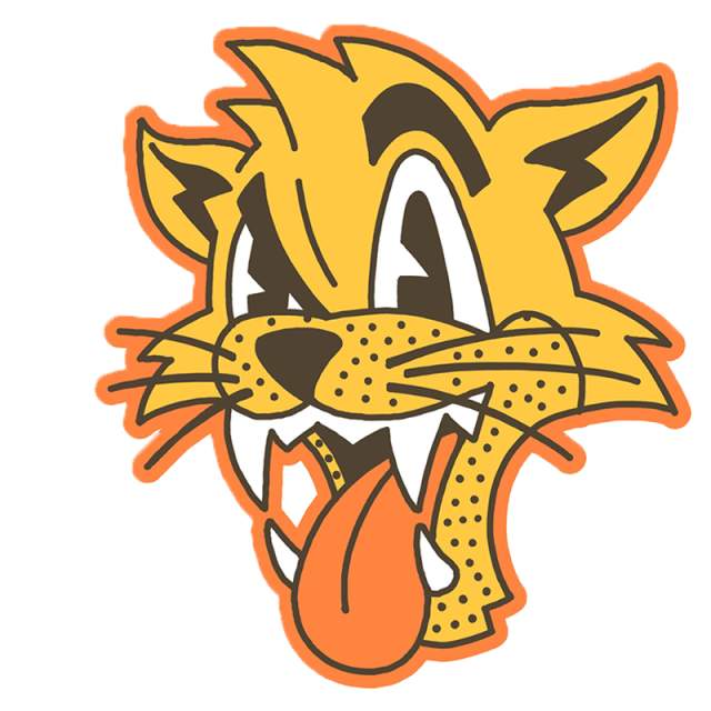 Carolina Disco Turkeys Vs Uwharrie Wampus Cats