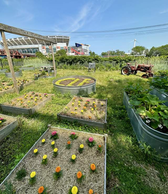 Farm3