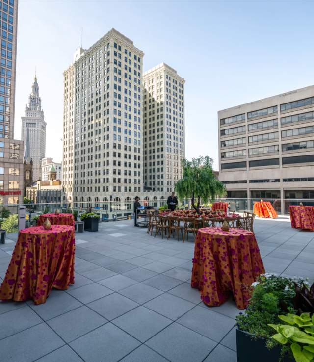 Rooftop Terrace (11,200 sq. ft) - Floor 2
