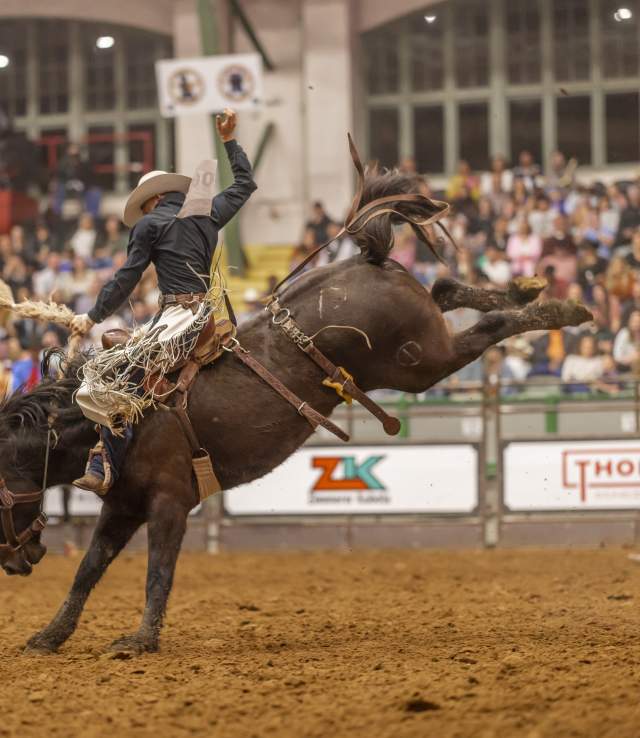 Rodeo Shot with Crowd