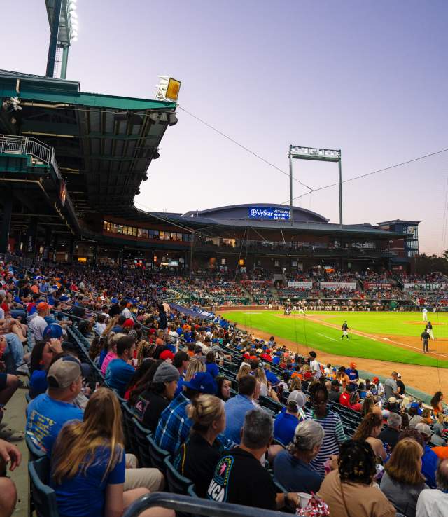 Ball Park and Crowd