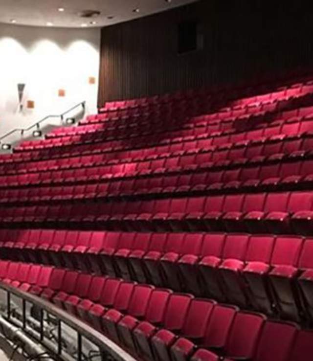 Rosa Hart Theatre Mezz