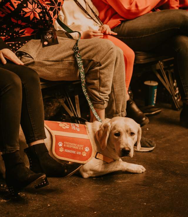 Service Dog