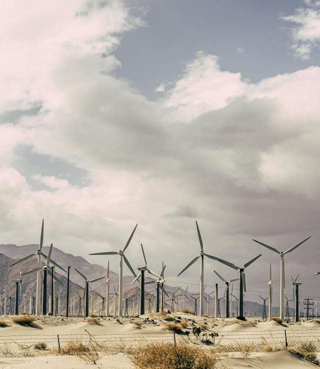 Sustainability- Desert