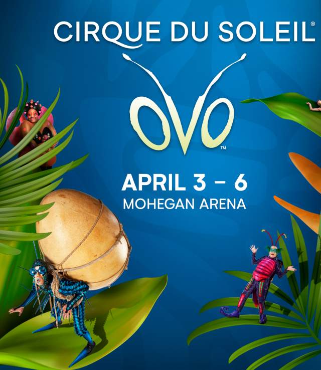 Cirque
