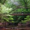 Big Thicket Bridge