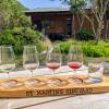 St Martins Vineyard
