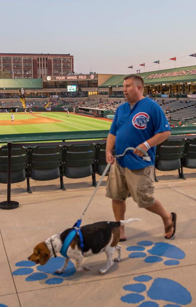 Plan a Pet Friendly Getaway Visit South Bend Mishawaka