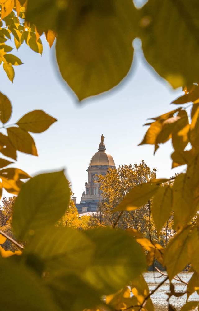 Fall at Notre Dame