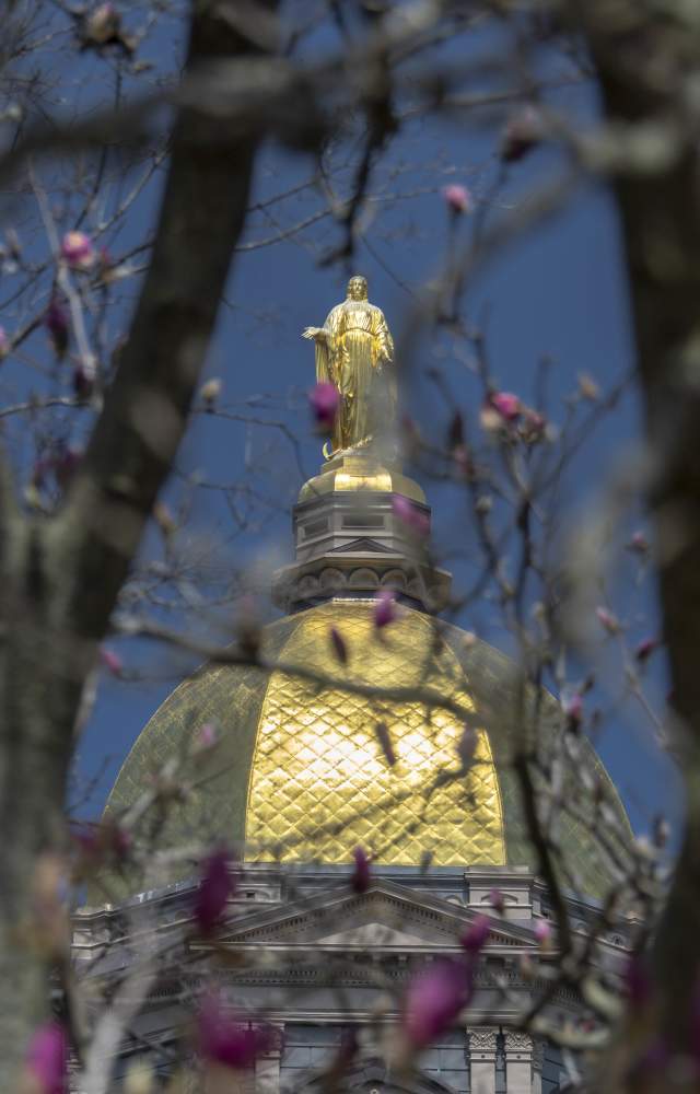University of Notre Dame's Golden Dome visible through pink spring blossoms.