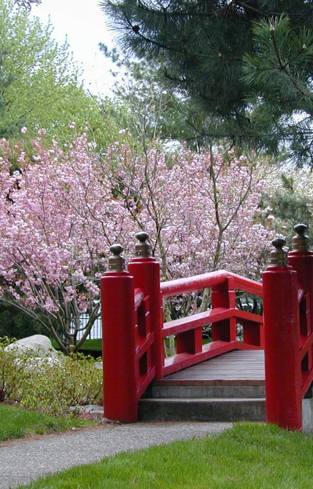 Shiojiri Niwa Japanese Gardens