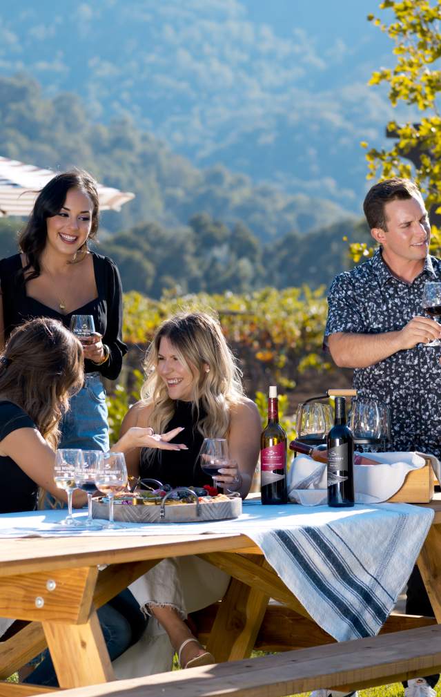 Friends enjoying wine