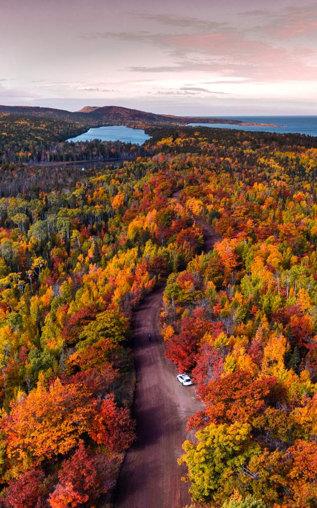 drone shot of peak fall color in a forest on the Keweenaw Peninsula