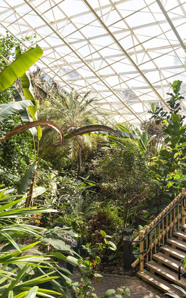 The indoor Tropical Gardens at the Botanical Conservatory in Fort Wayne