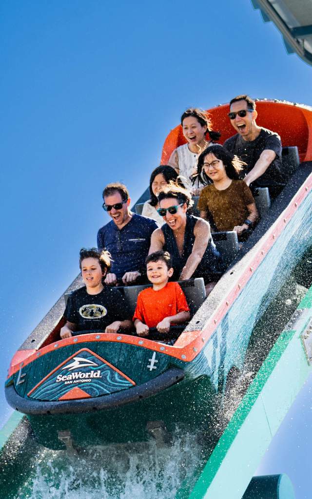 Family on rollercoaster on downward slope