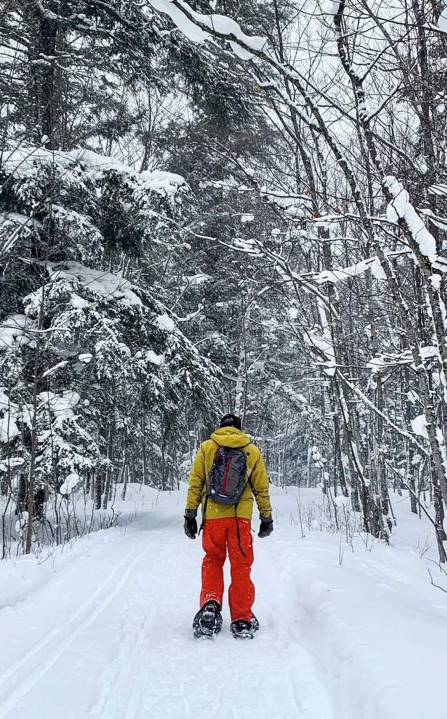 a snowshoer walking along a path in a snowy forest in the Porcupine Mountains Wilderness State Park, the Upper Peninsula, Michigan USA