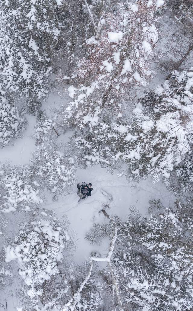aerial shot of a snowshoer walking through a snow-covered forest