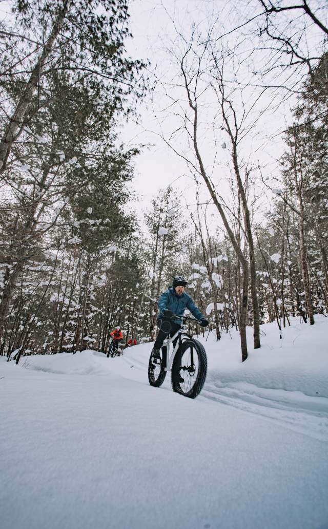 a group of three fat tire biking on a groomed trail in a snow-laden forest