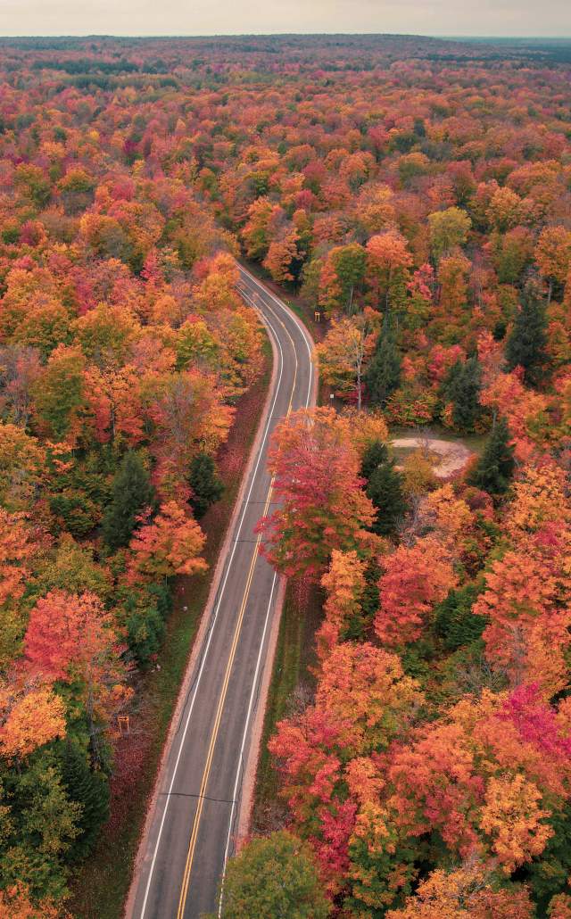 Drone view of a road surrounding by an autumnal forest