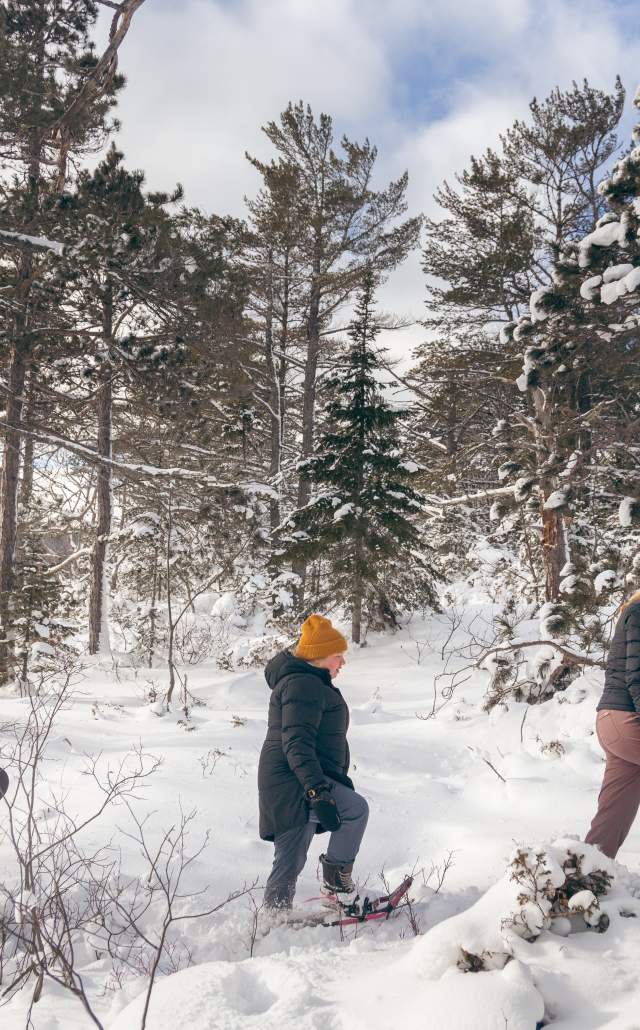 three women snowshoeing in the woods