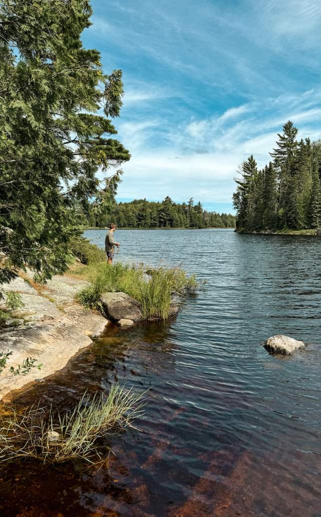 A person fishing by a tranquil Craig Lake State Park surrounded by lush green trees under a clear blue sky, conveying a peaceful, serene outdoor atmosphere.