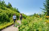 Trails Slider - Waterrock Knob
