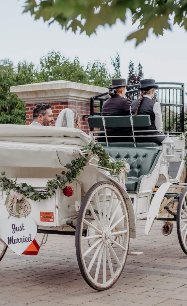 Wedding carriage