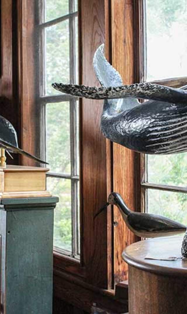 Hilltop Gallery