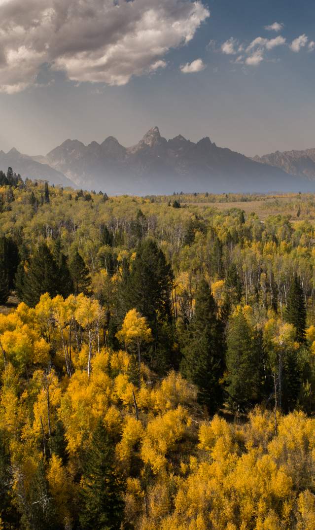 Fall in The Tetons by Jay Kazen - Drone