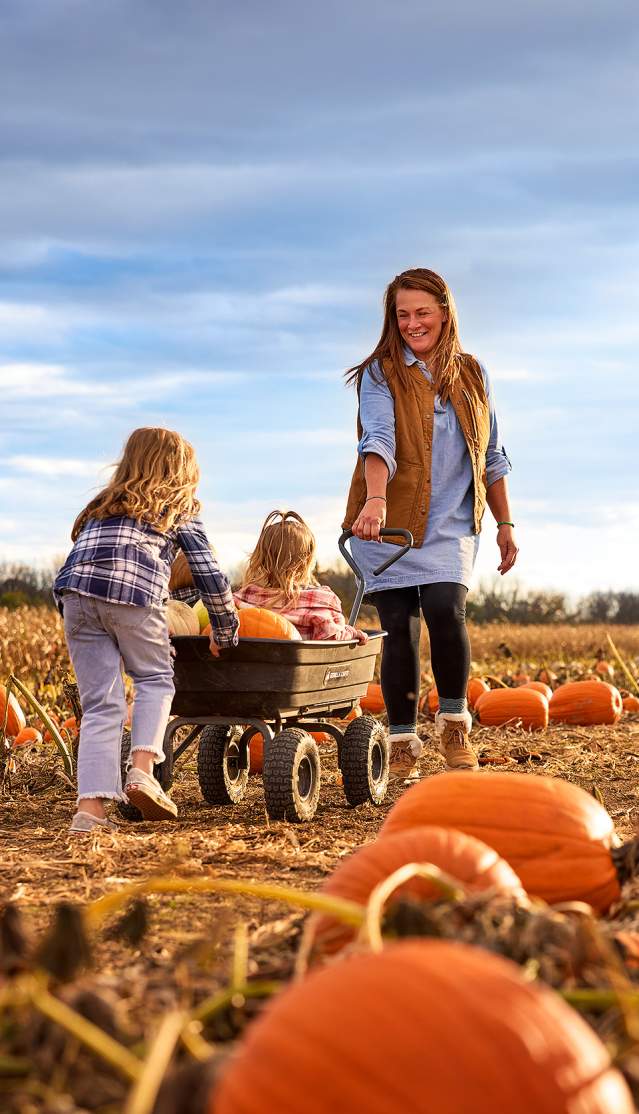 Sycamore banks family pumpkin farm