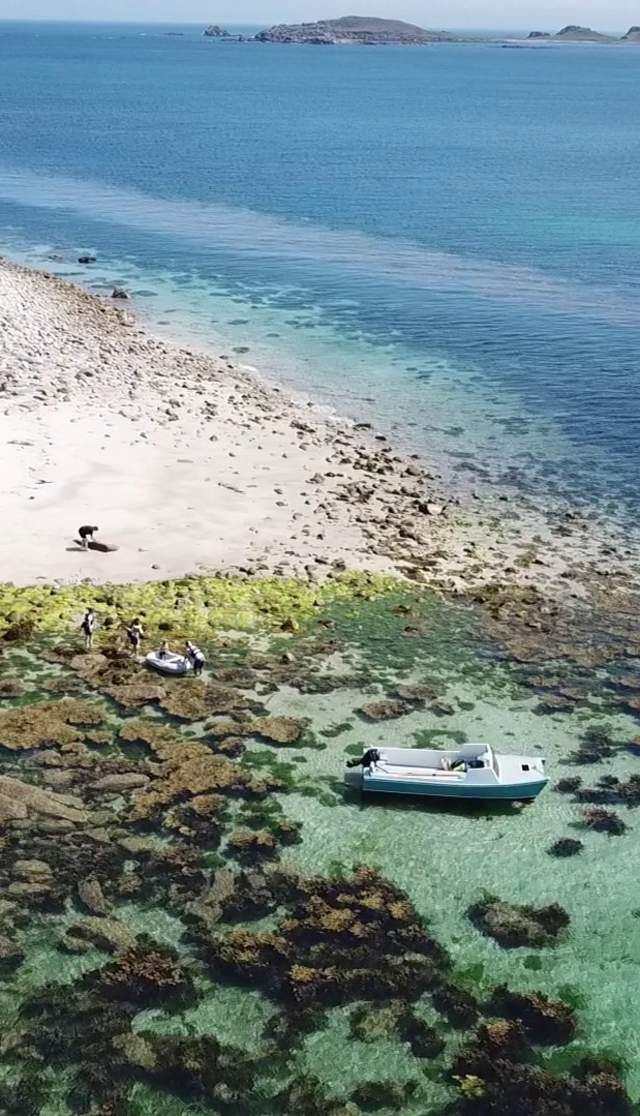 Aerial of a beach
