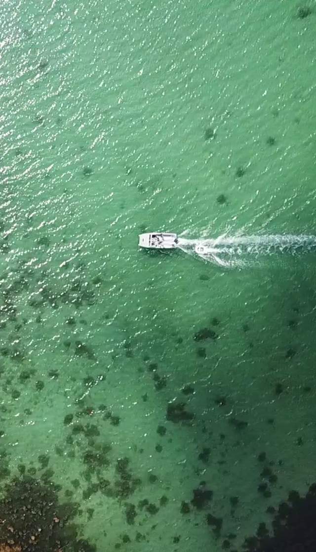 Aerial of a boat over green seas