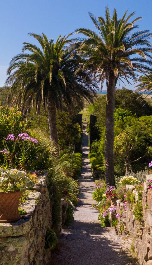 Tresco Abbey Garden