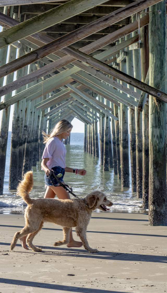 a young woman walking a goodendoodle under a pier