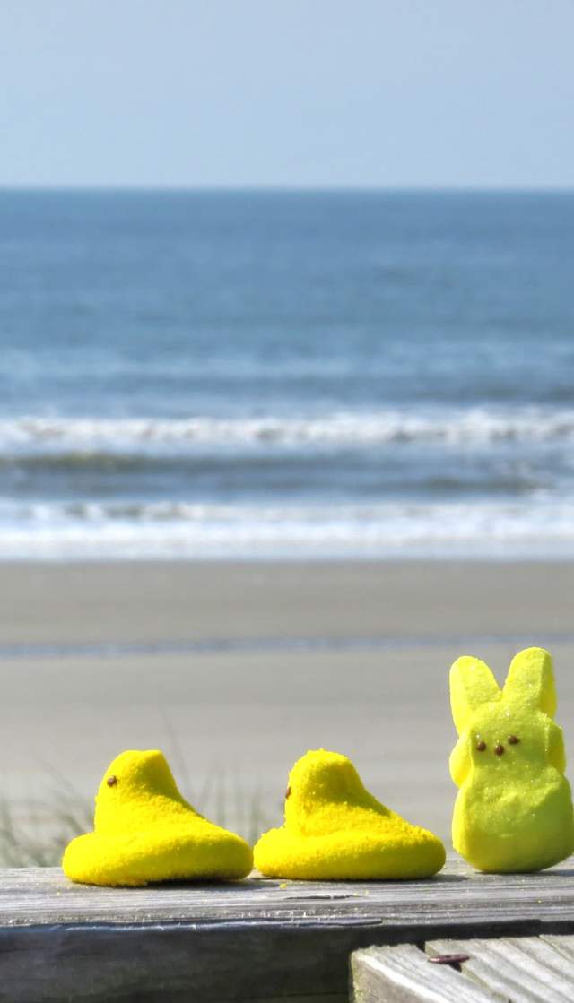 a line of Peeps marshmallows on a beach railing
