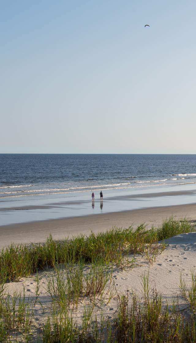 a view of sunset beach over the sand dunes