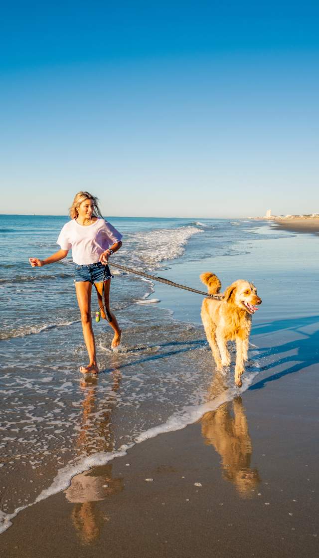 woman and dog on beach