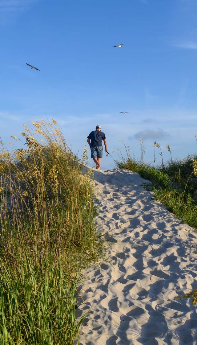 a man walking on a sandy beach path over the dunes on Oak Island, NC